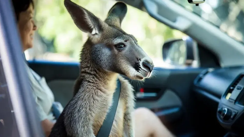 Multas estranhas: comer ao volante dá multa na Espanha