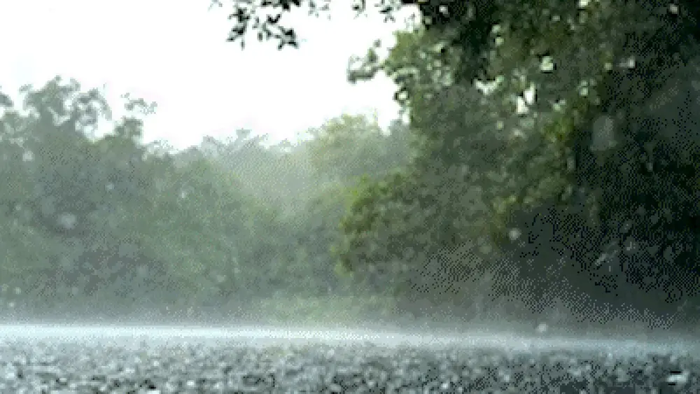 Rio da Prata mantém águas cristalinas mesmo sob chuva