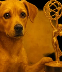 Dom Pixote (1958): O cão herói da TV que surpreendeu com Emmy!